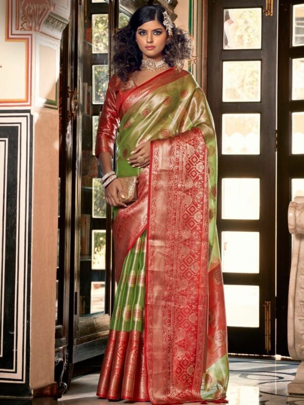 Green Floral Organza Saree – RawaazFashion